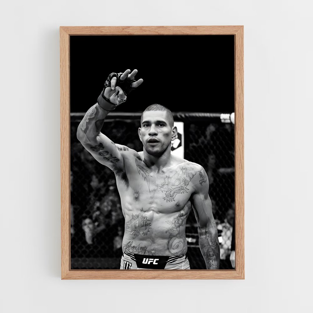 Poster Art de Guerre – affiche MMA (vue 4)